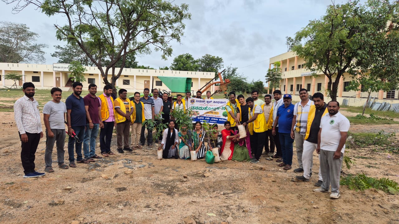 Tree plantation