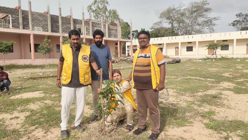 Tree plantation
