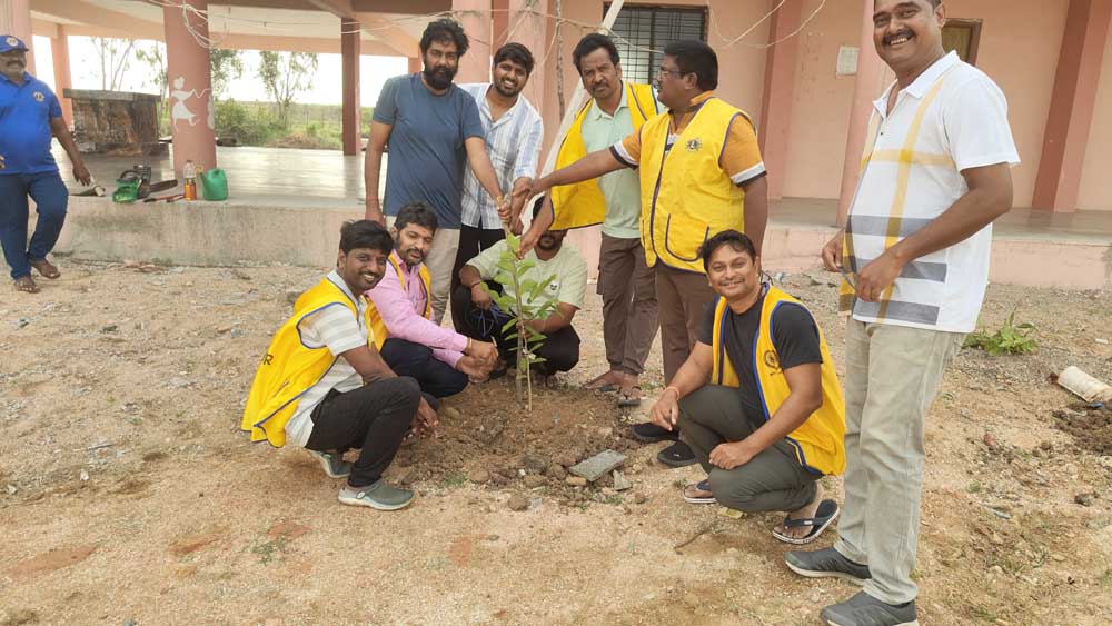 Tree plantation