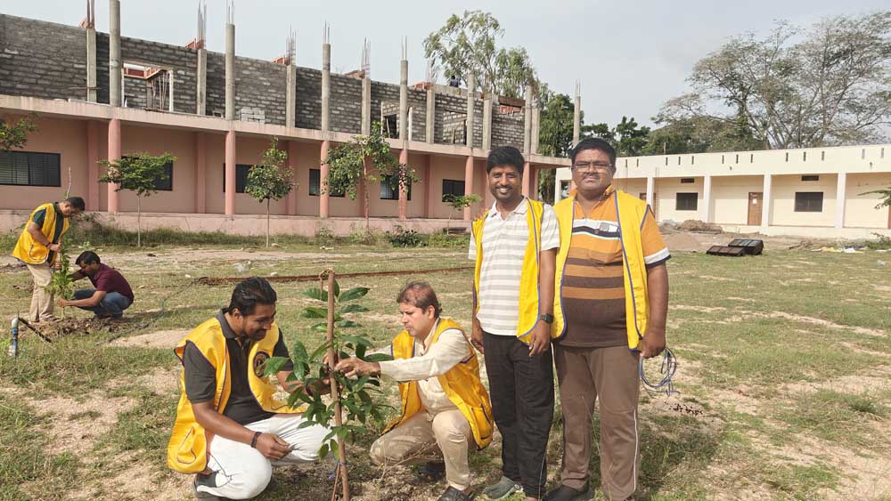 Tree plantation