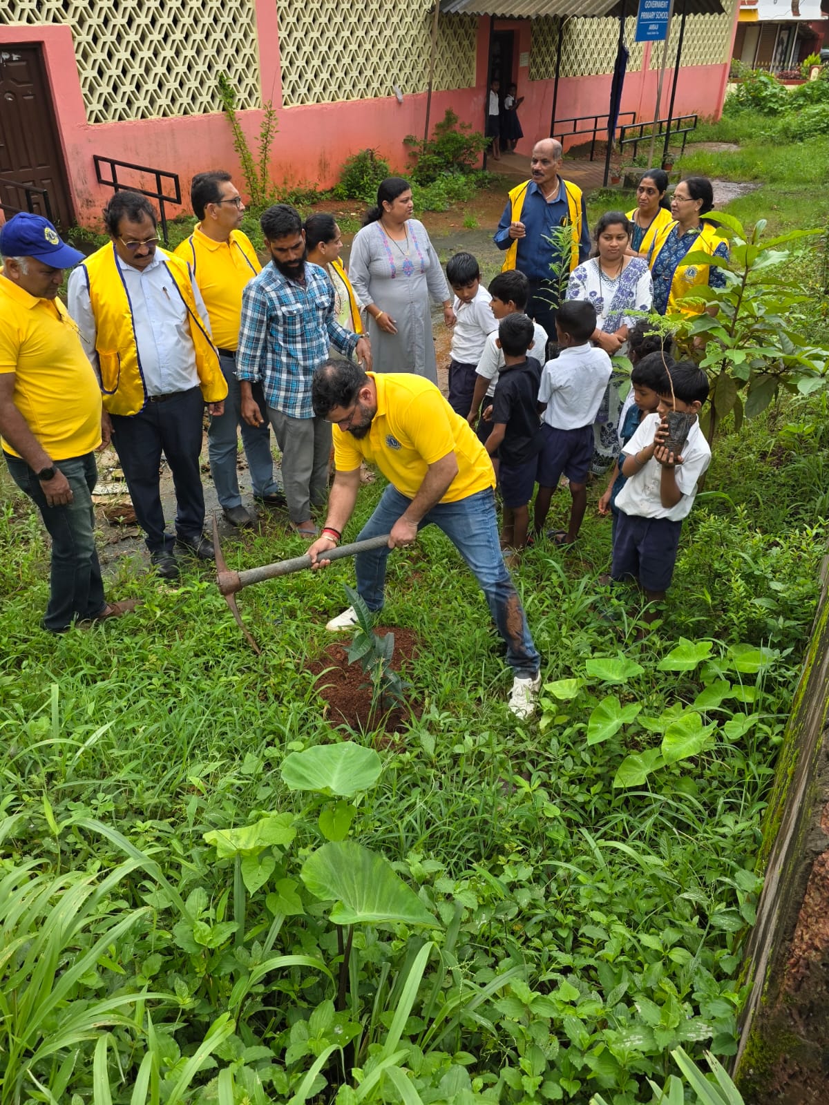 Tree Plantation at Govt High School Ambaji, Fatordaon 26.07.2025.