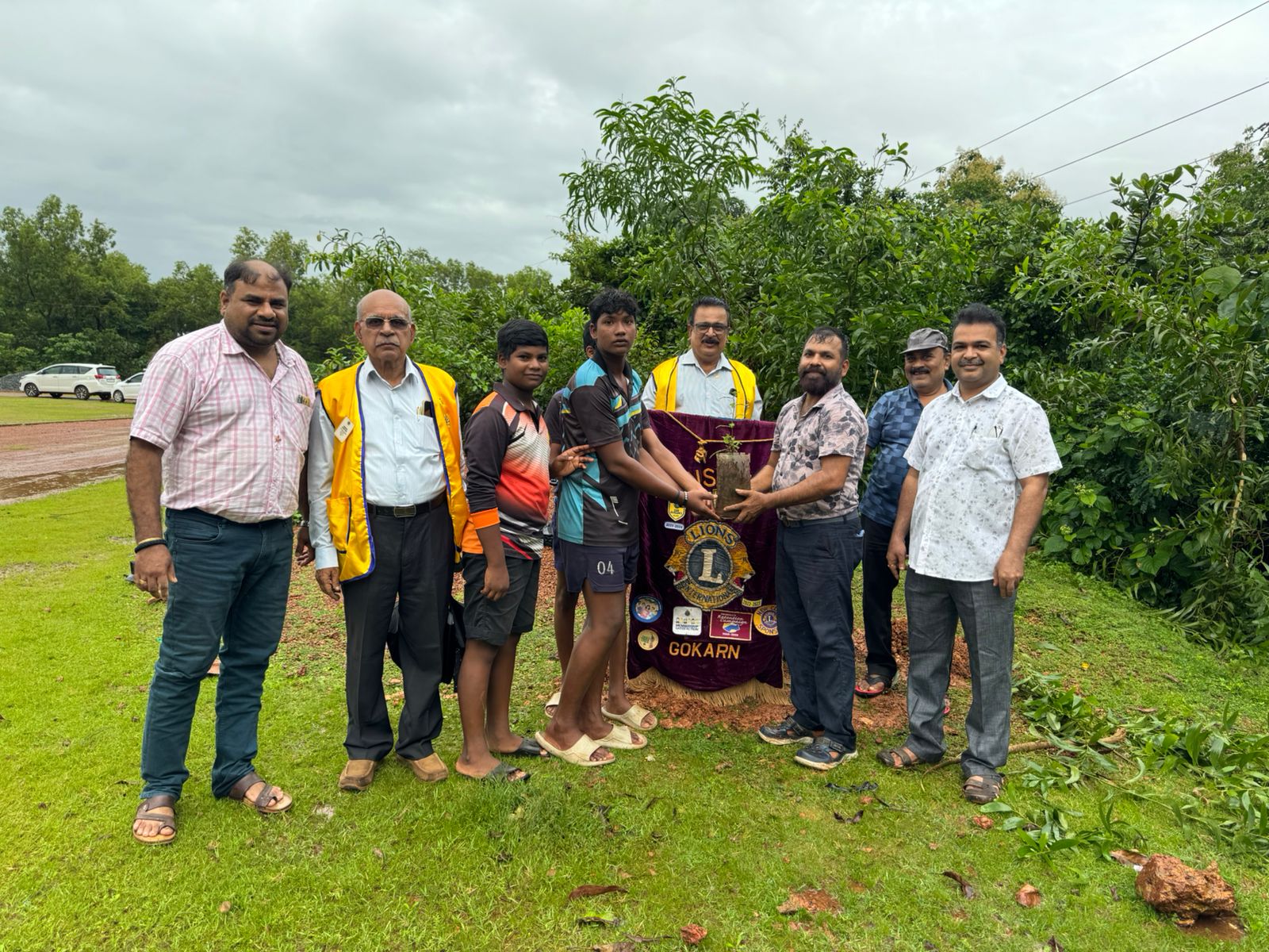 Planting saplings