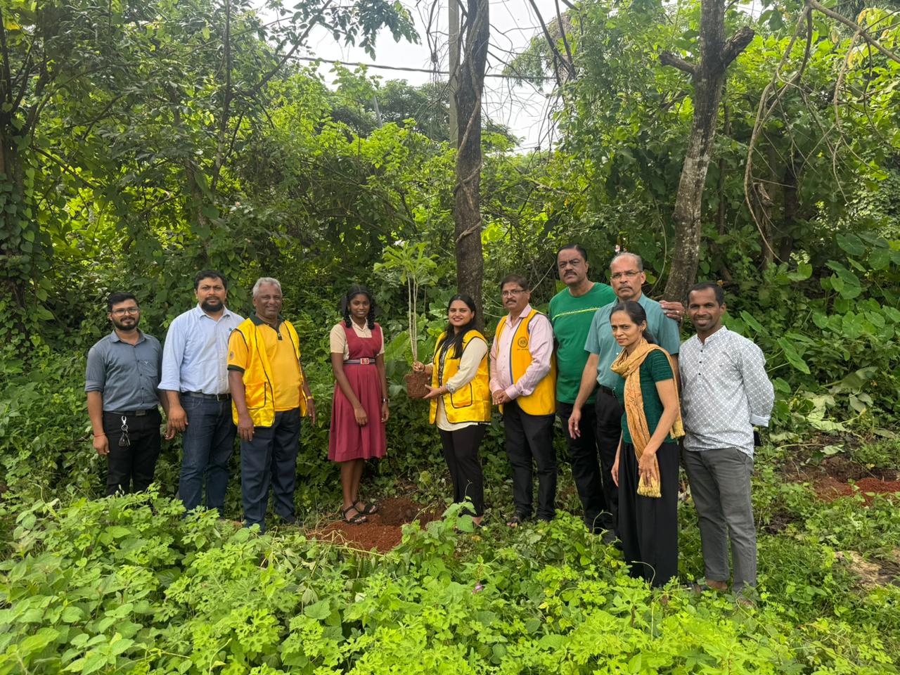 Oraganised a Tree Plantation Drive.