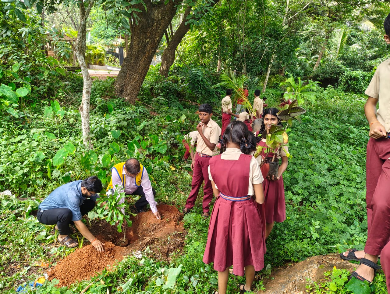 Oraganised a Tree Plantation Drive.