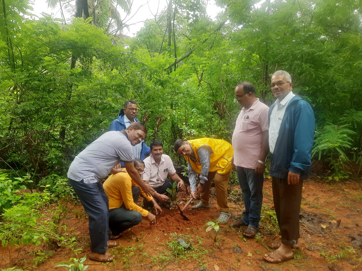 Tree Planting