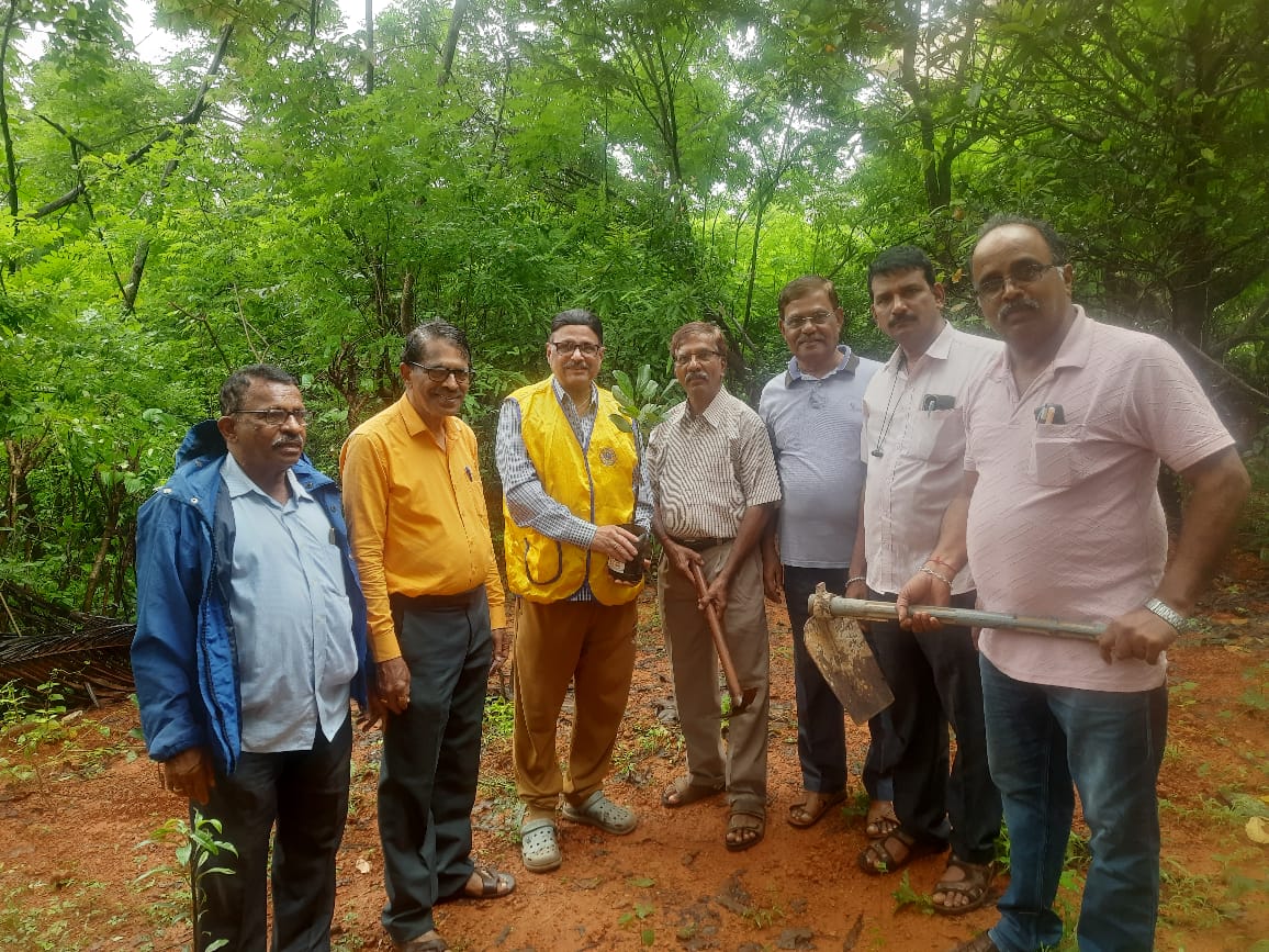Tree Planting