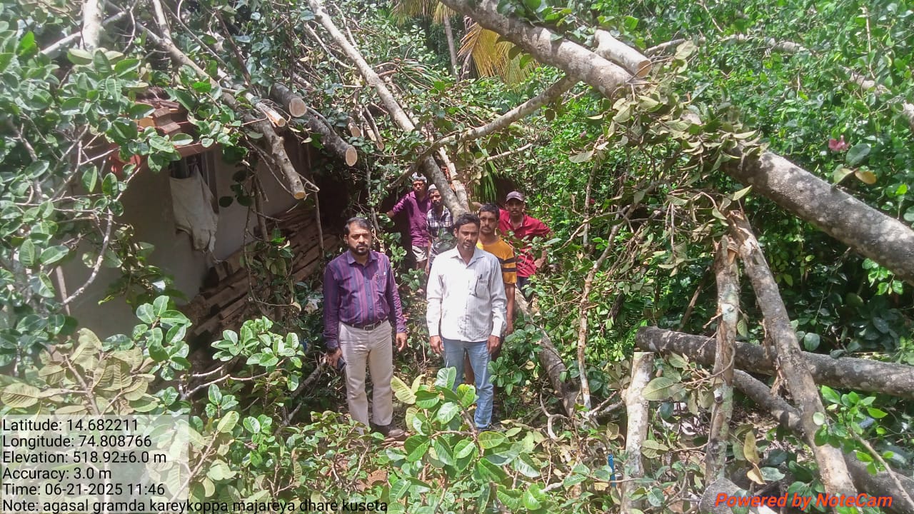 SURVEY OF DISASTER