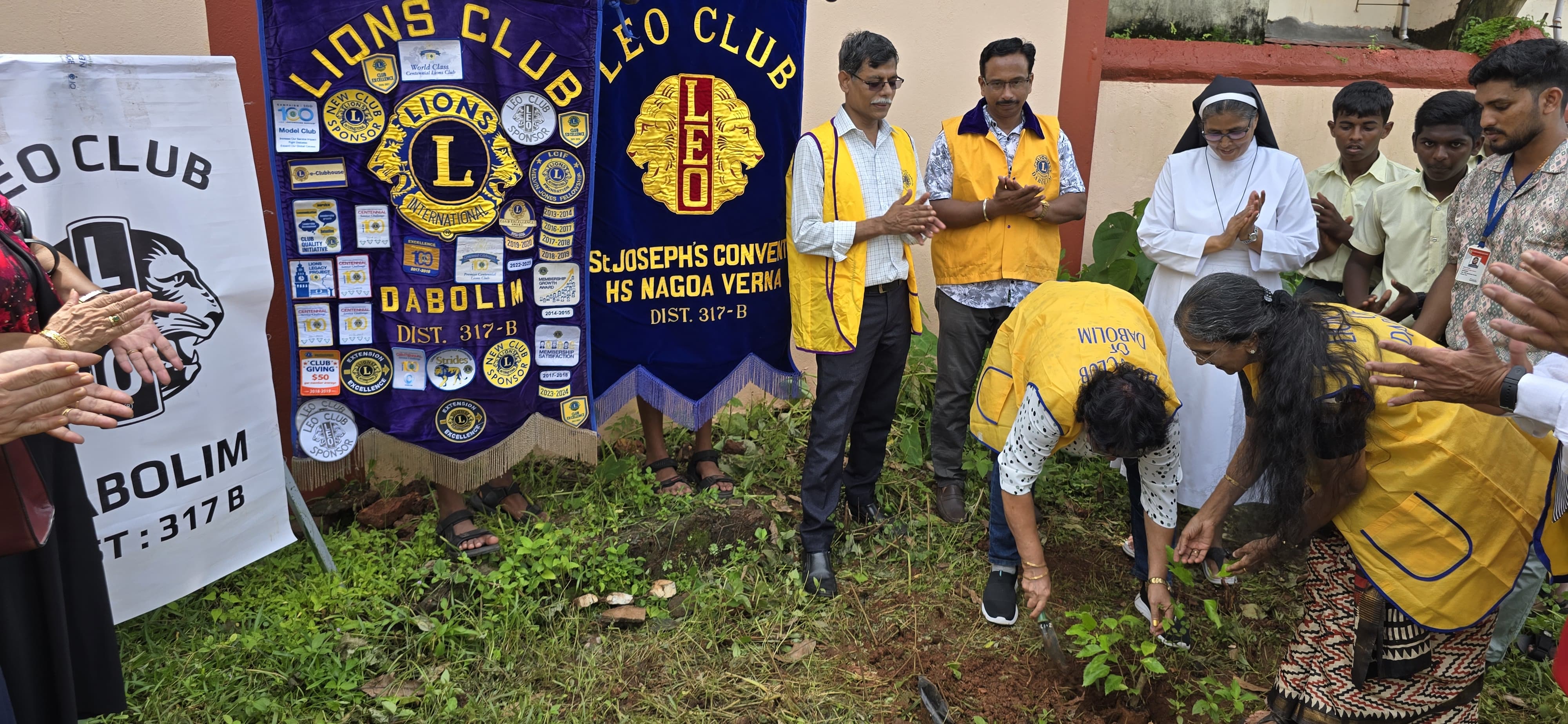 tree plantation drive