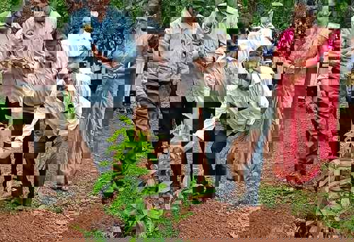 VANAMAHOTSAVA CELEBRATION