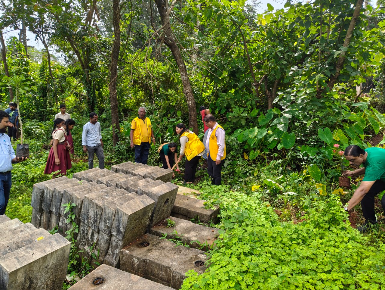 Tree Plantation Activity of Lions Club Of Mapuca