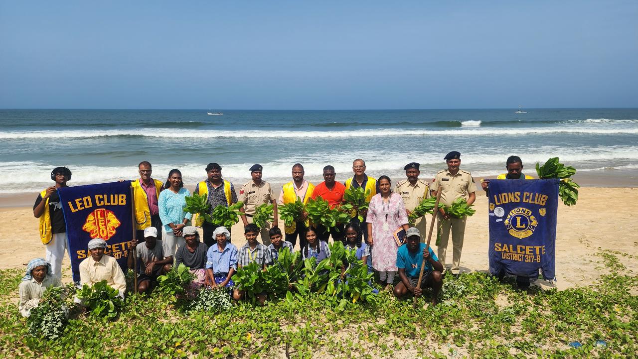 Tree plantation 
