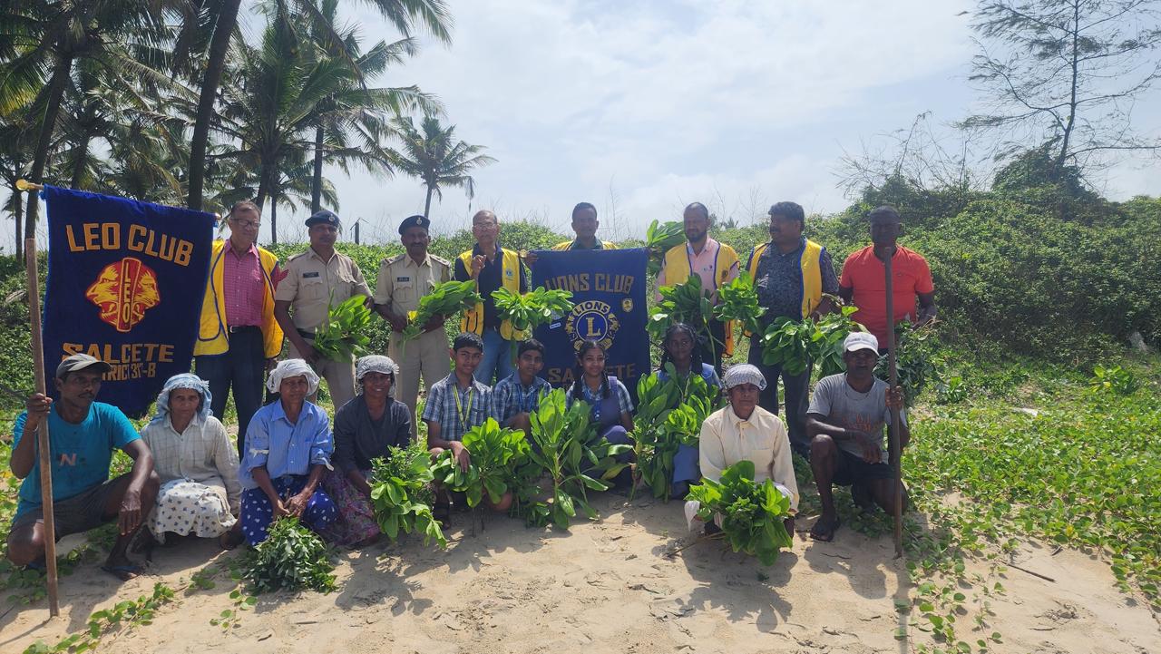 Tree plantation 