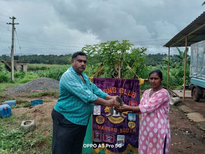 Plantation Activity