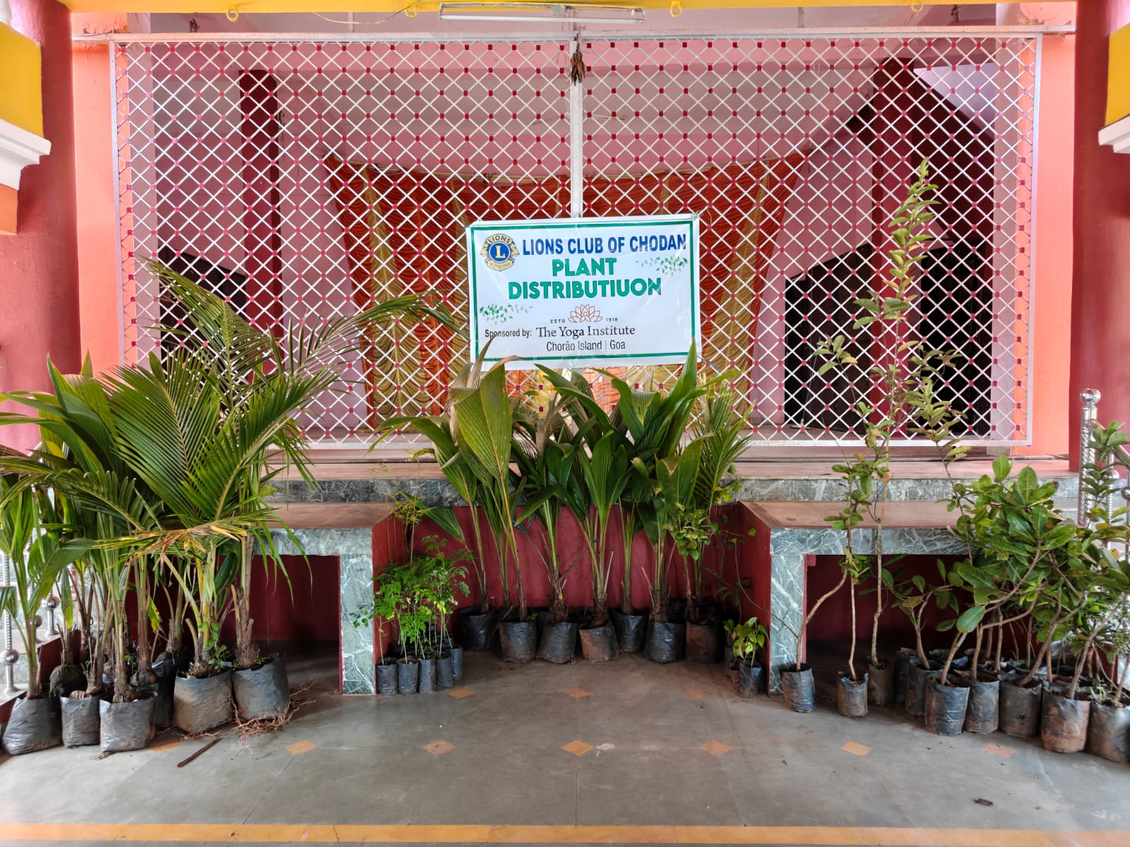 DISTRIBUTION OF VARIOUS PLANT SAPLINGS.