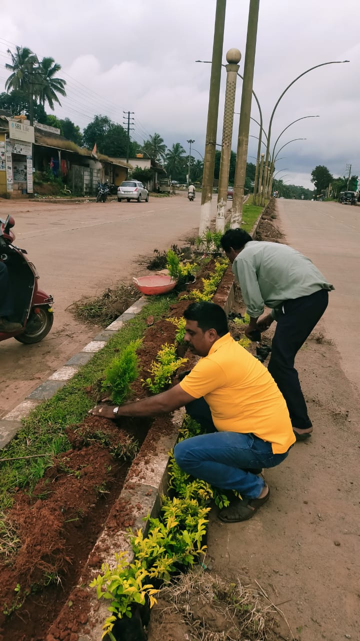 SAVIRADA SASIGALU- PLANTING THOUSANDS OF TREES SAPLINGS BETWEEN ROAD DEVIDERS