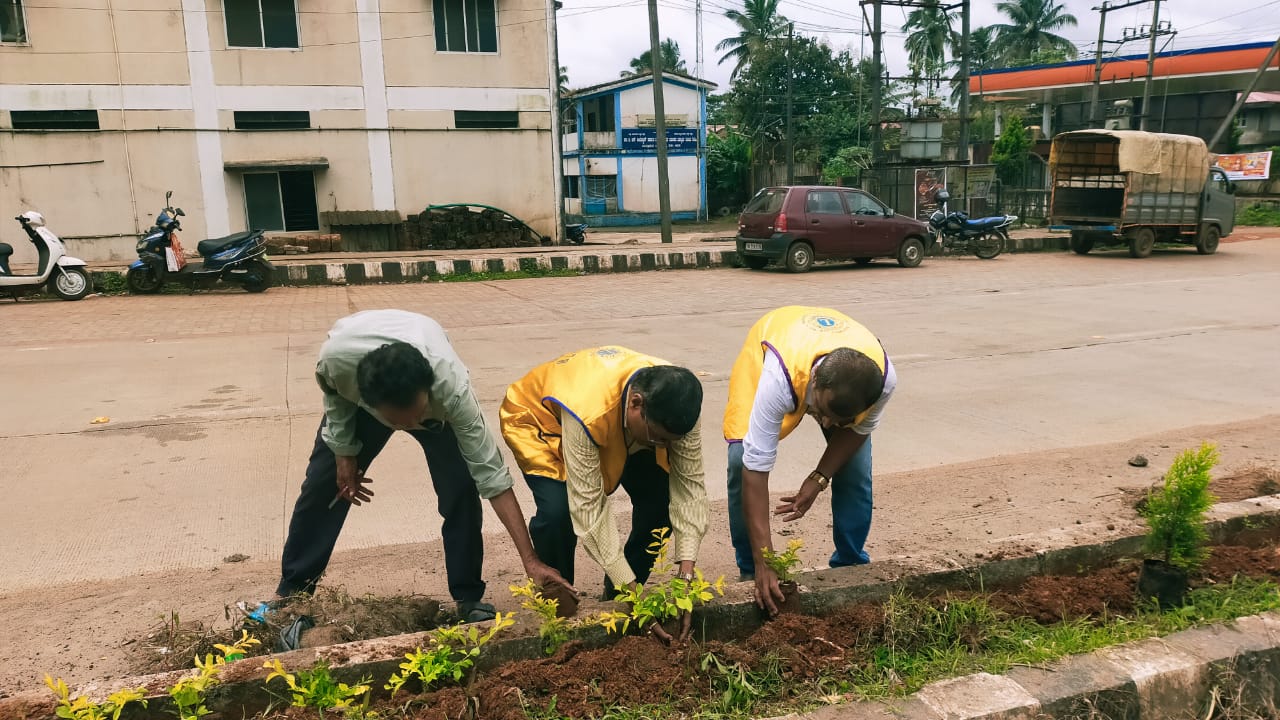 SAVIRADA SASIGALU- PLANTING THOUSANDS OF TREES SAPLINGS BETWEEN ROAD DEVIDERS