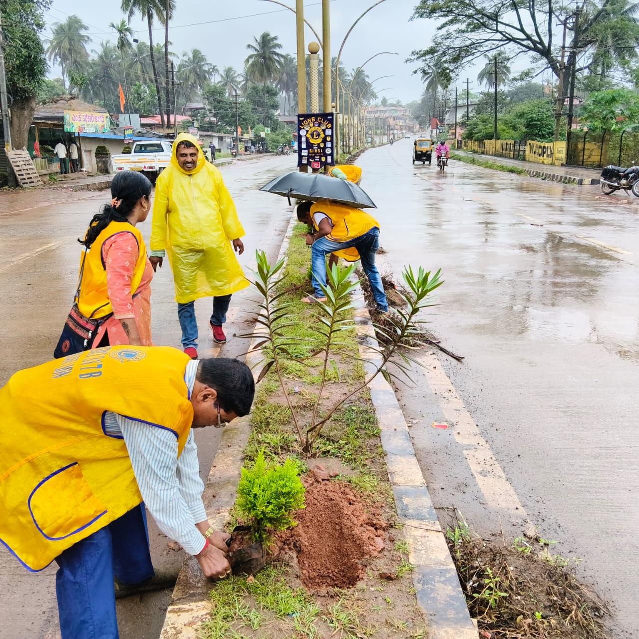 SAVIRADA SASIGALU PART 2 - PLANTING THOUSANDS OF TREES SAPLINGS BETWEEN ROAD DEVIDERS 2ND HALF