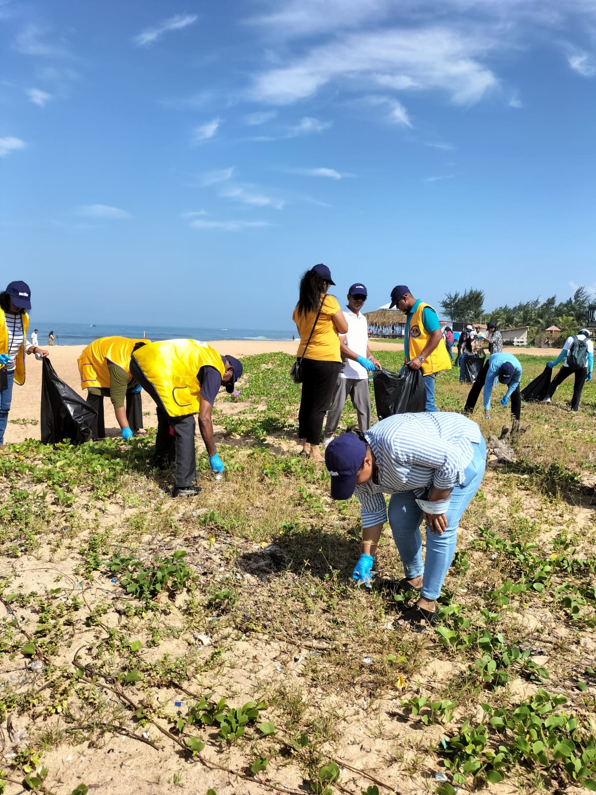 Beach Cleaning Drive