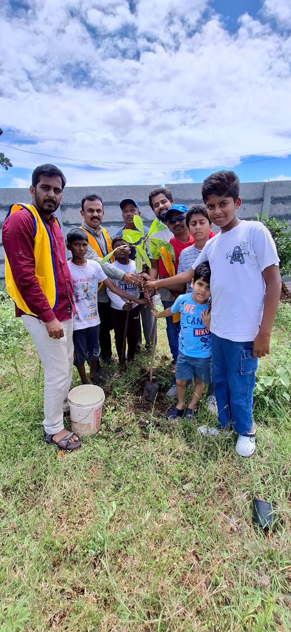 TREE PLANTATION