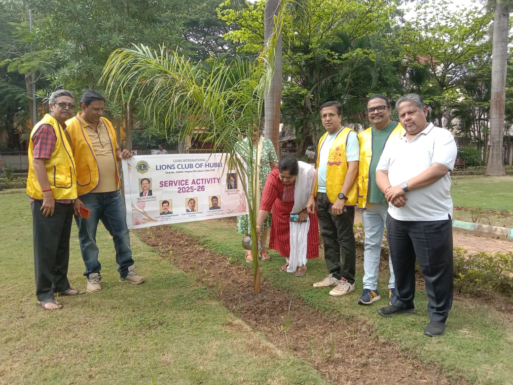 Tree plantation