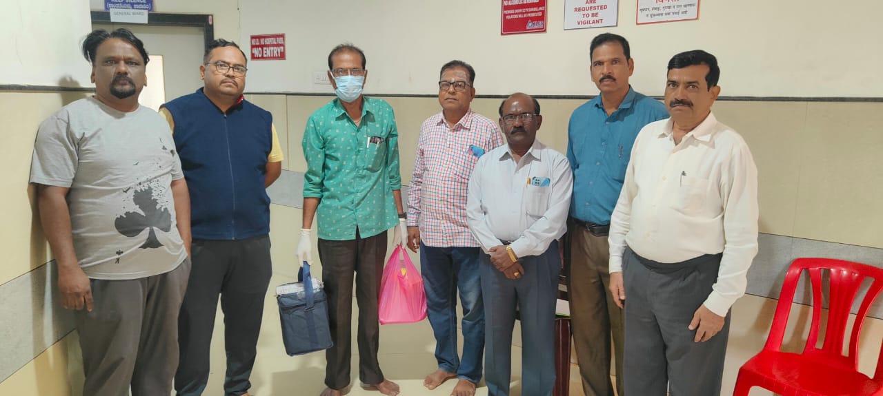 COLLECTION OFF CORNEA