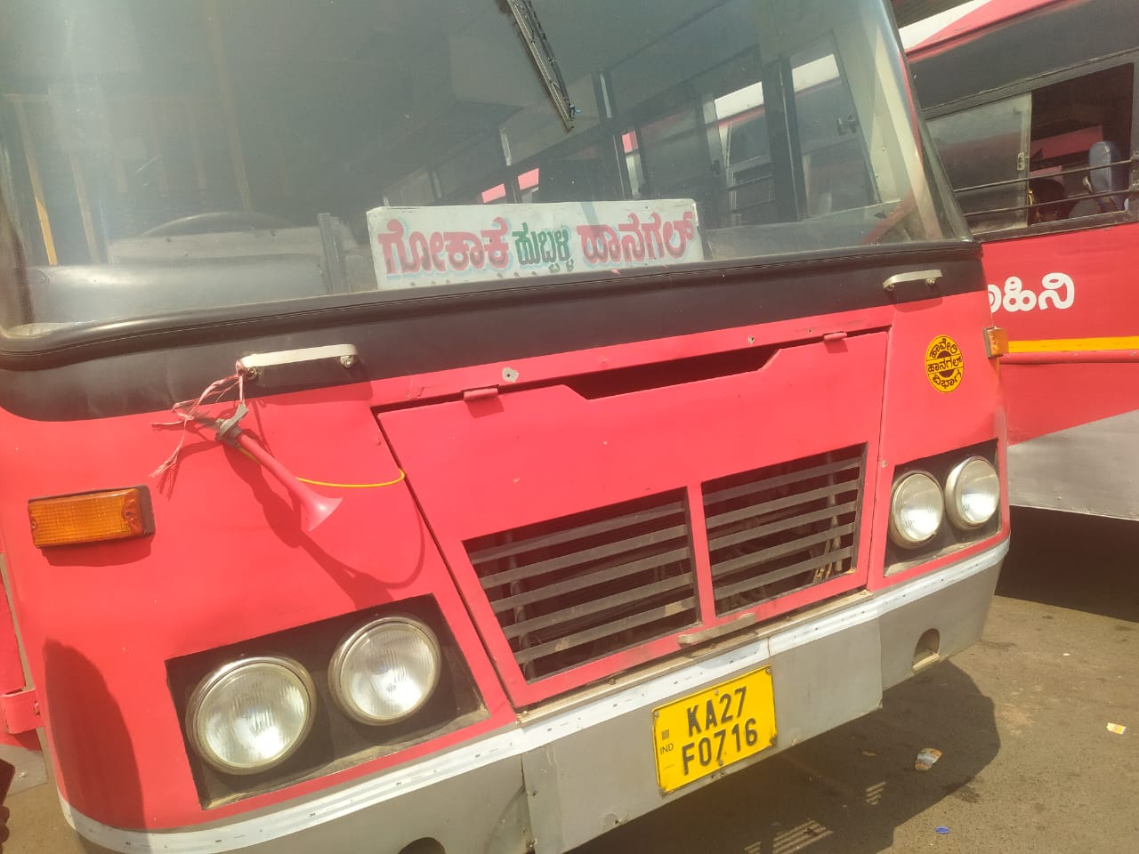 COLLECTION OF EYEBALLS