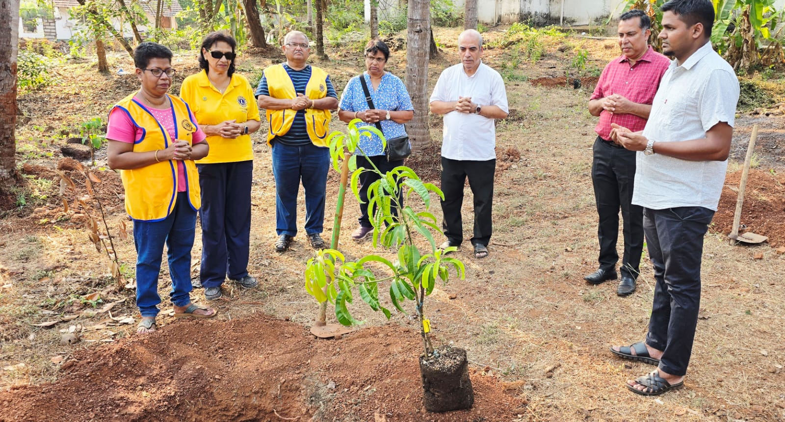 Grafts/Tree planting