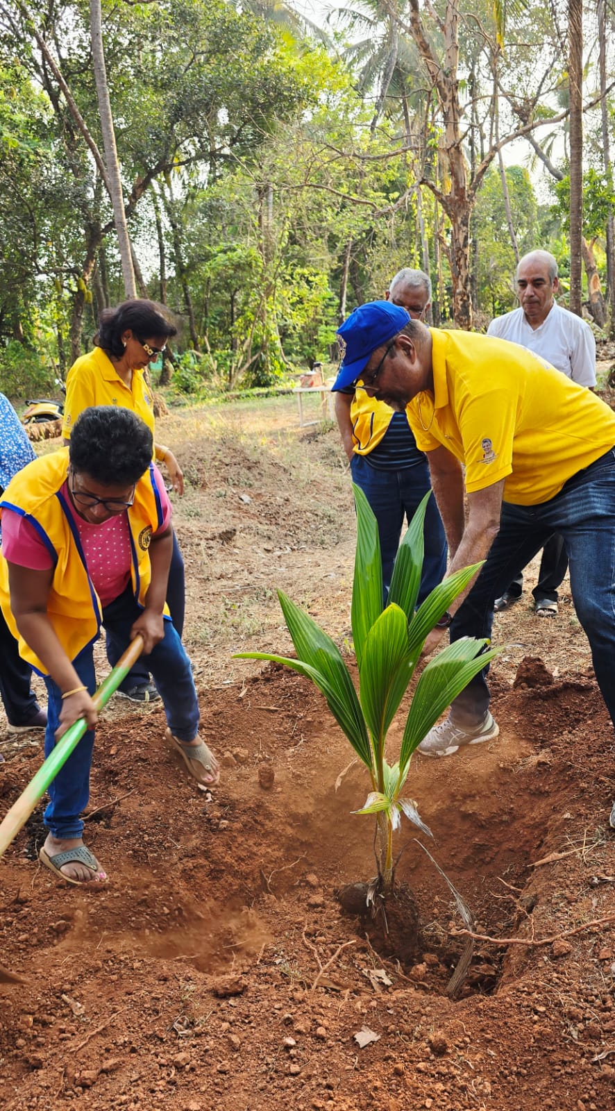 Grafts/Tree planting