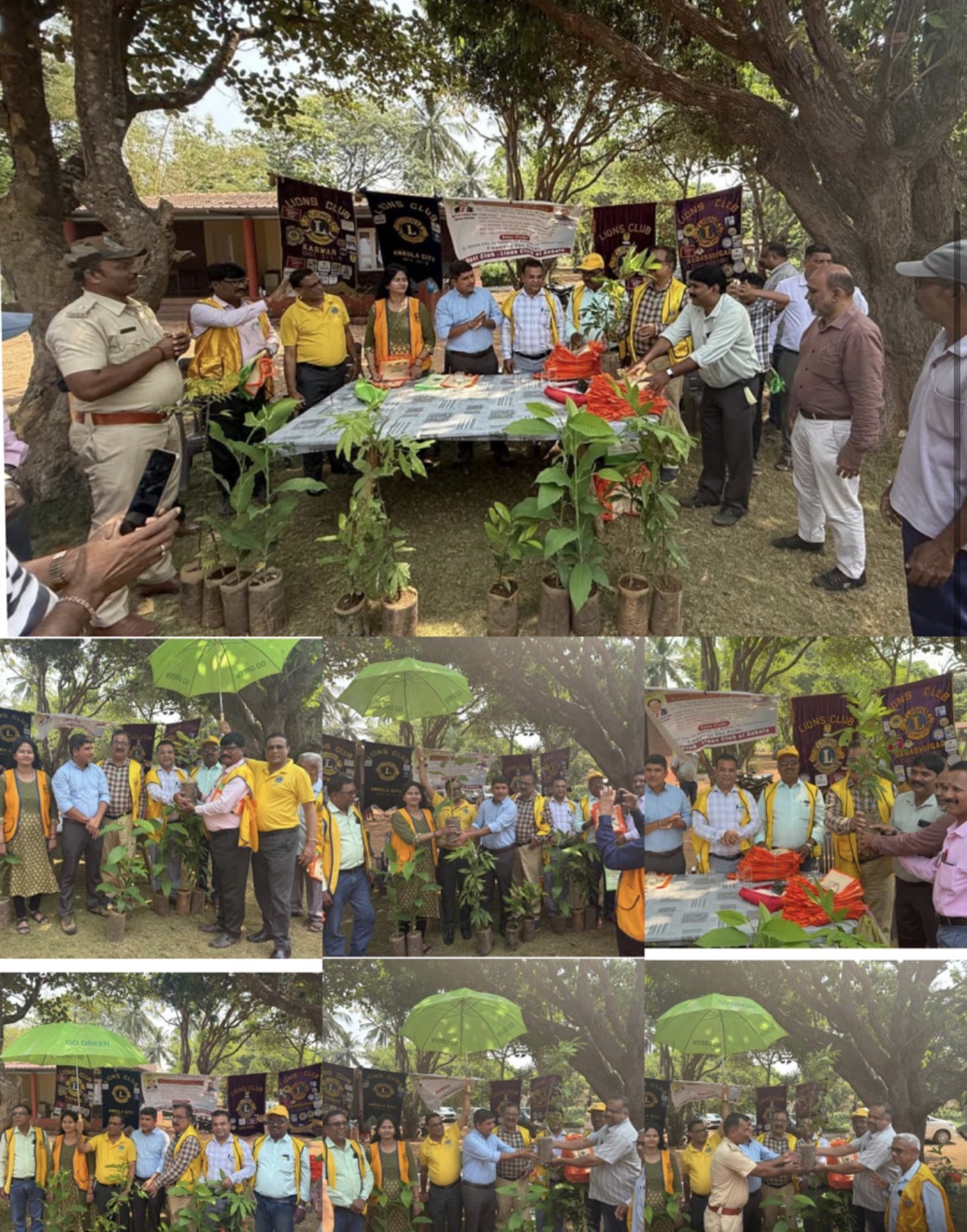 Distribute plants to all members
