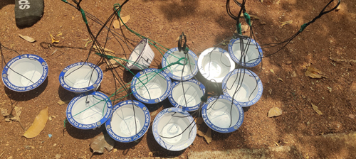water trays for birds in summer
