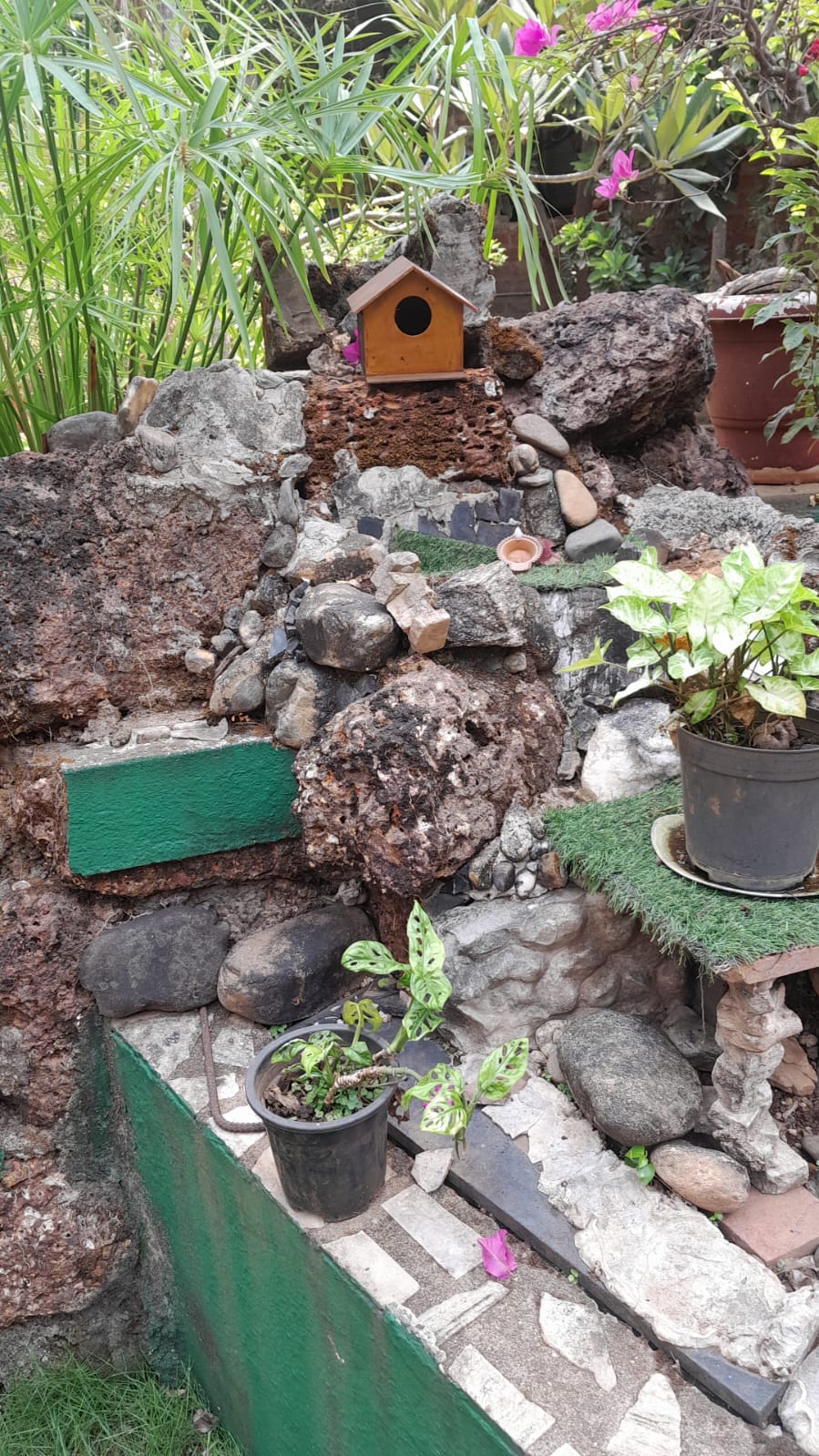 Save the sparrow , a sparrow house gifted to Lion Silvia as part of felicitation
