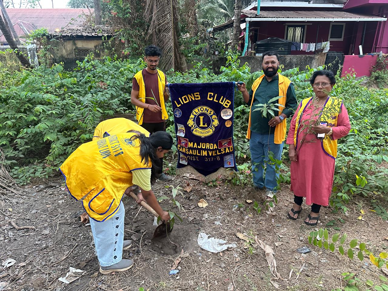 Tree plantation drive inauguration