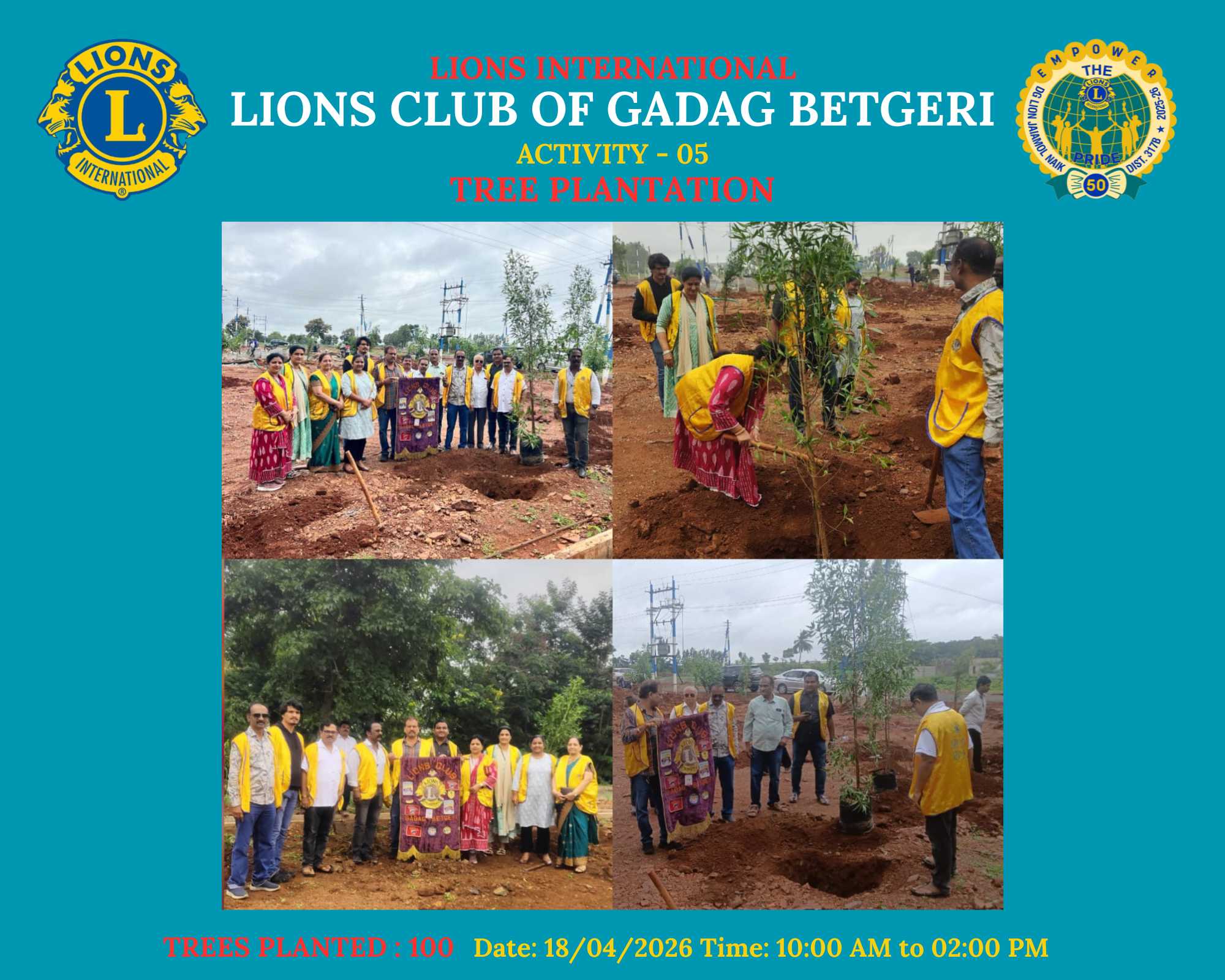 Tree Plantation