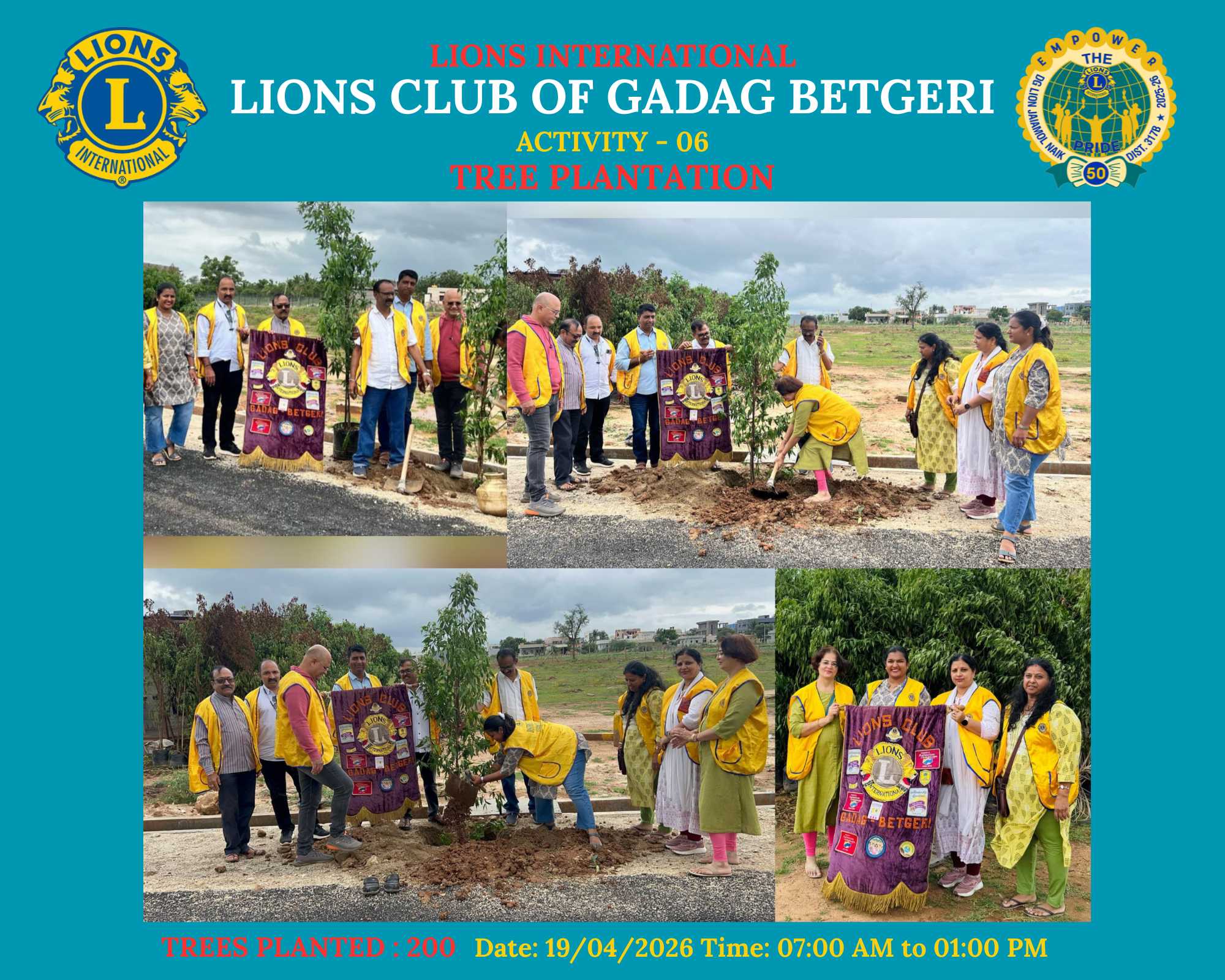 Tree Plantation