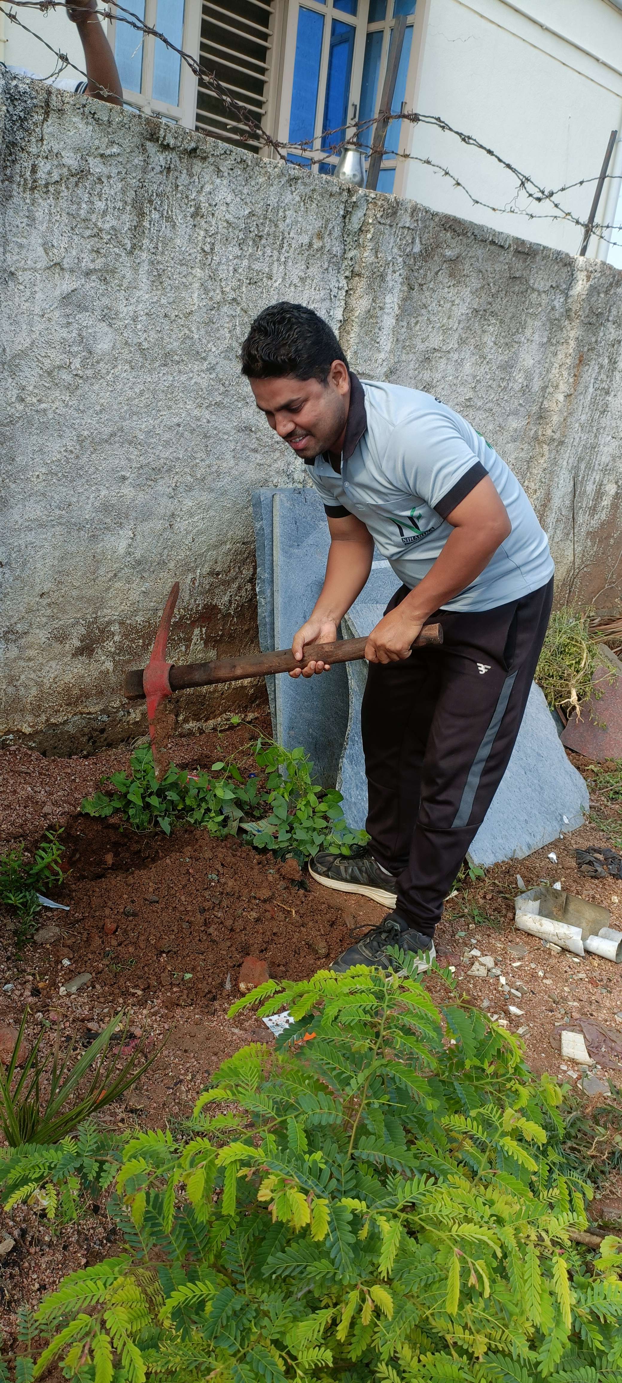 Celebration of World Environment day 