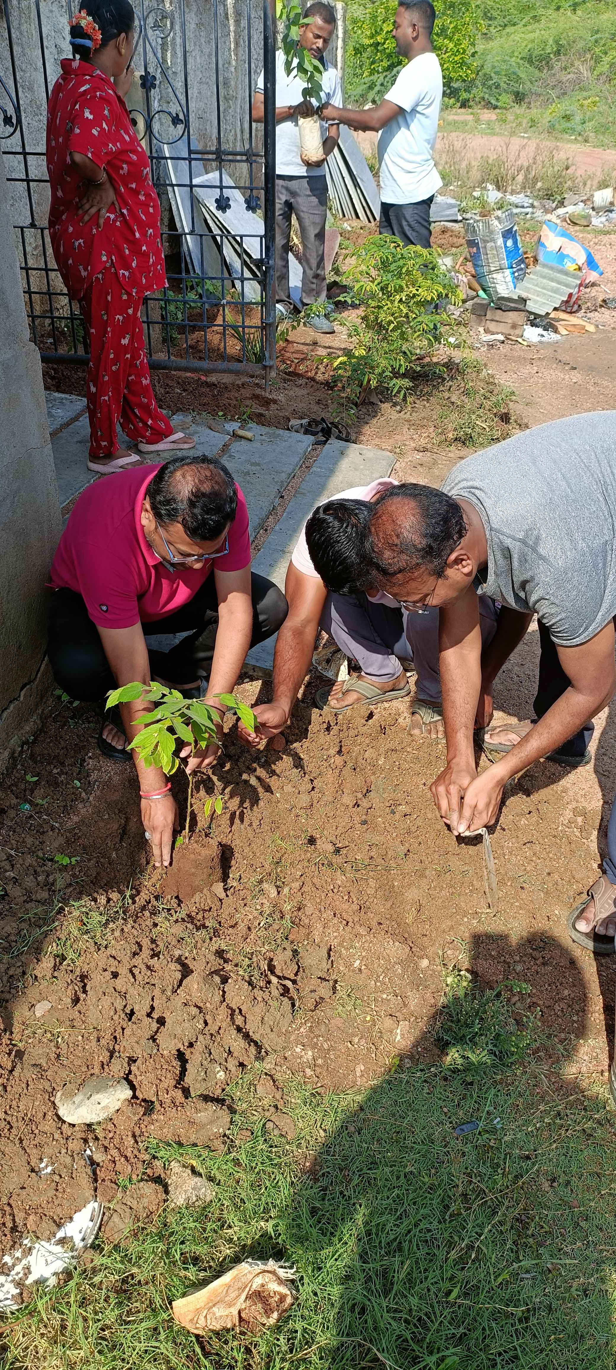 Celebration of World Environment day 