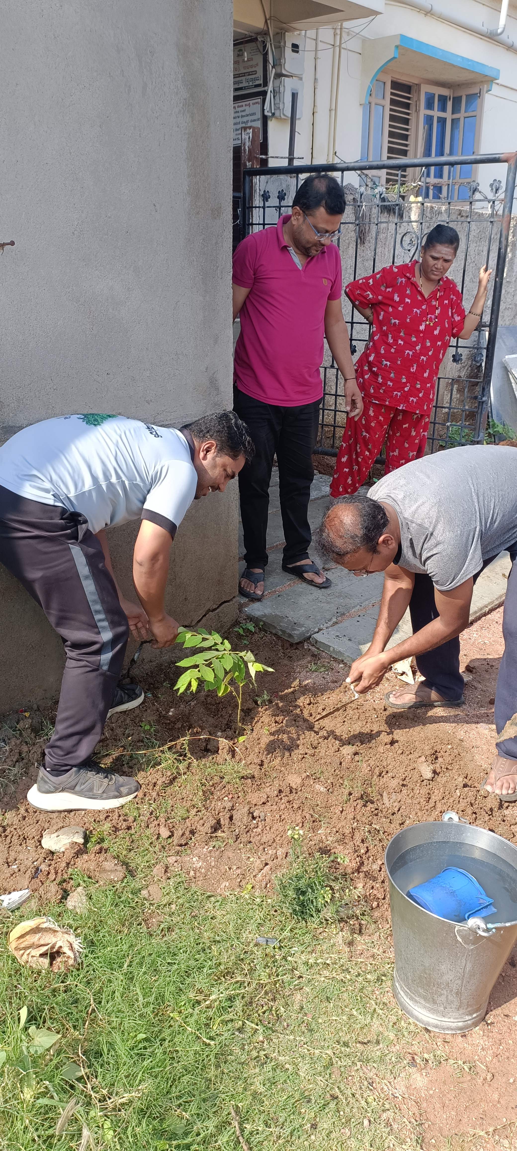 Celebration of World Environment day 