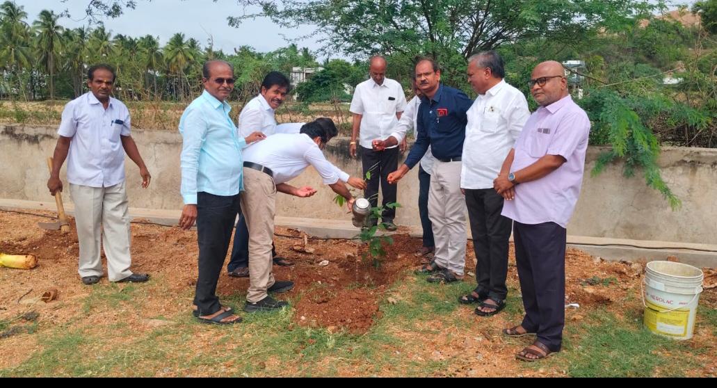 World environment day celebration