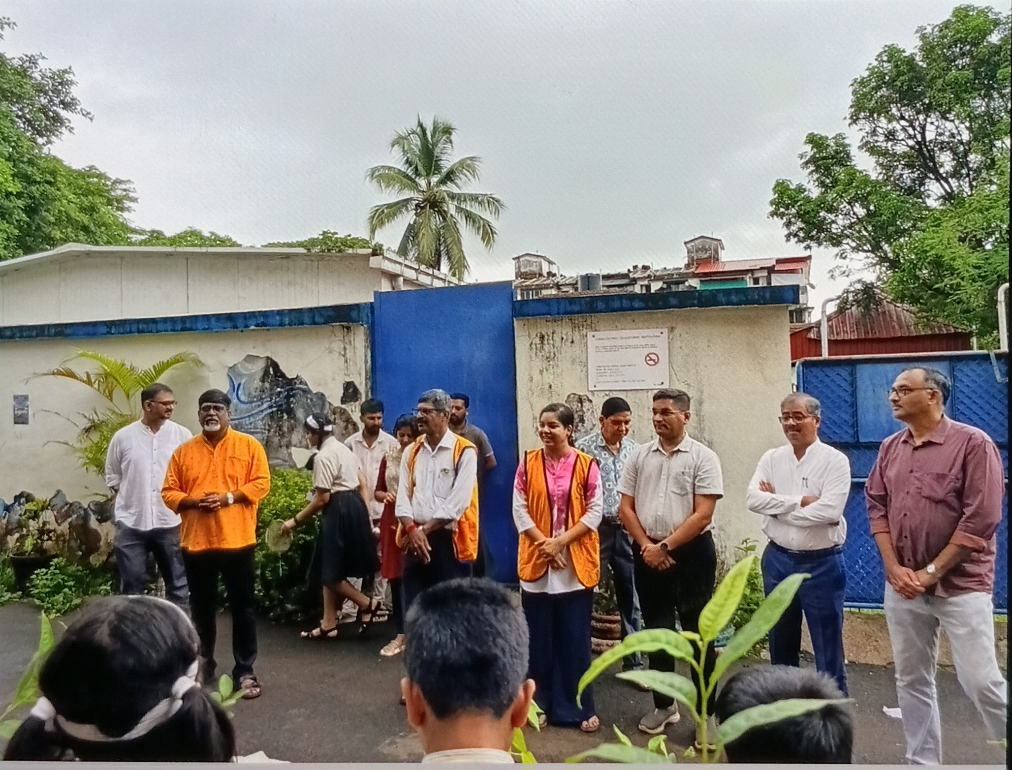 Distribution of 50 plant saplings