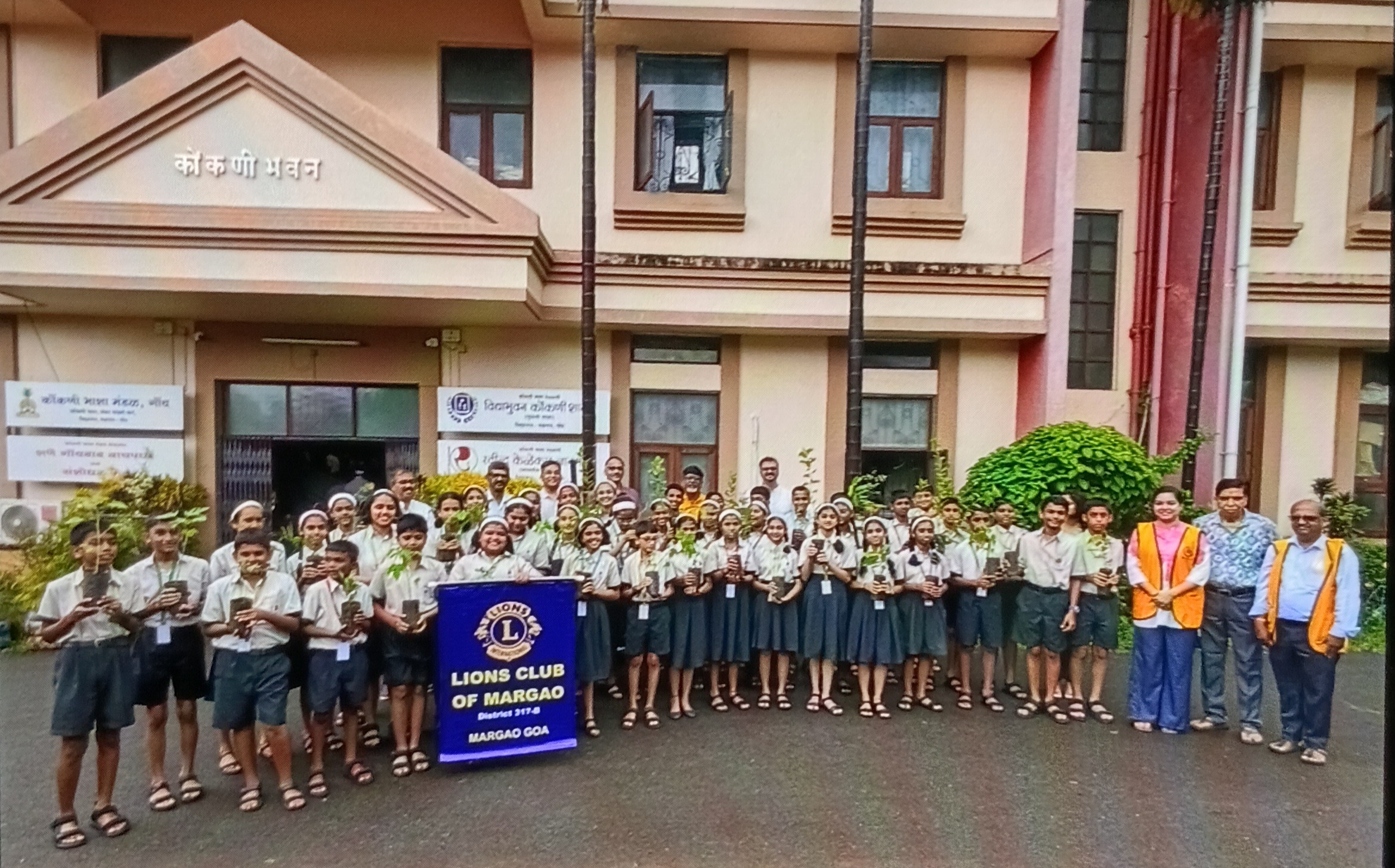 Distribution of 50 plant saplings
