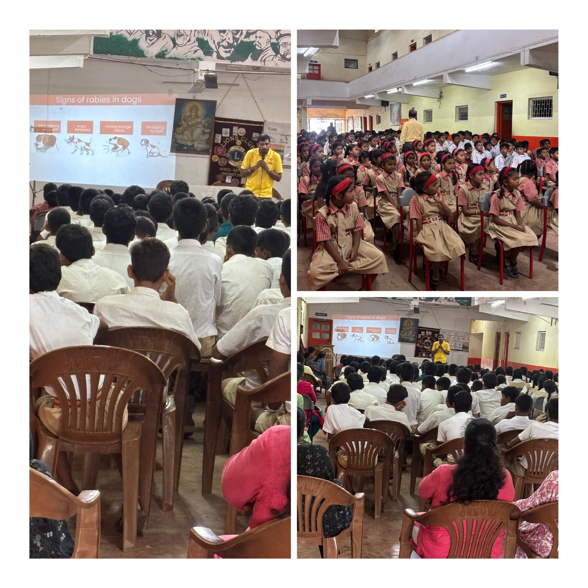 Anti Rabies Mission- Awareness talk to the students