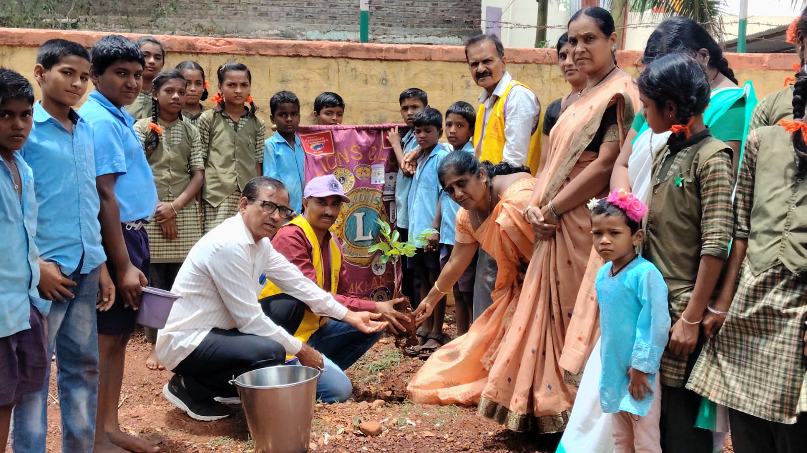 Tree plantation drive at Albal School