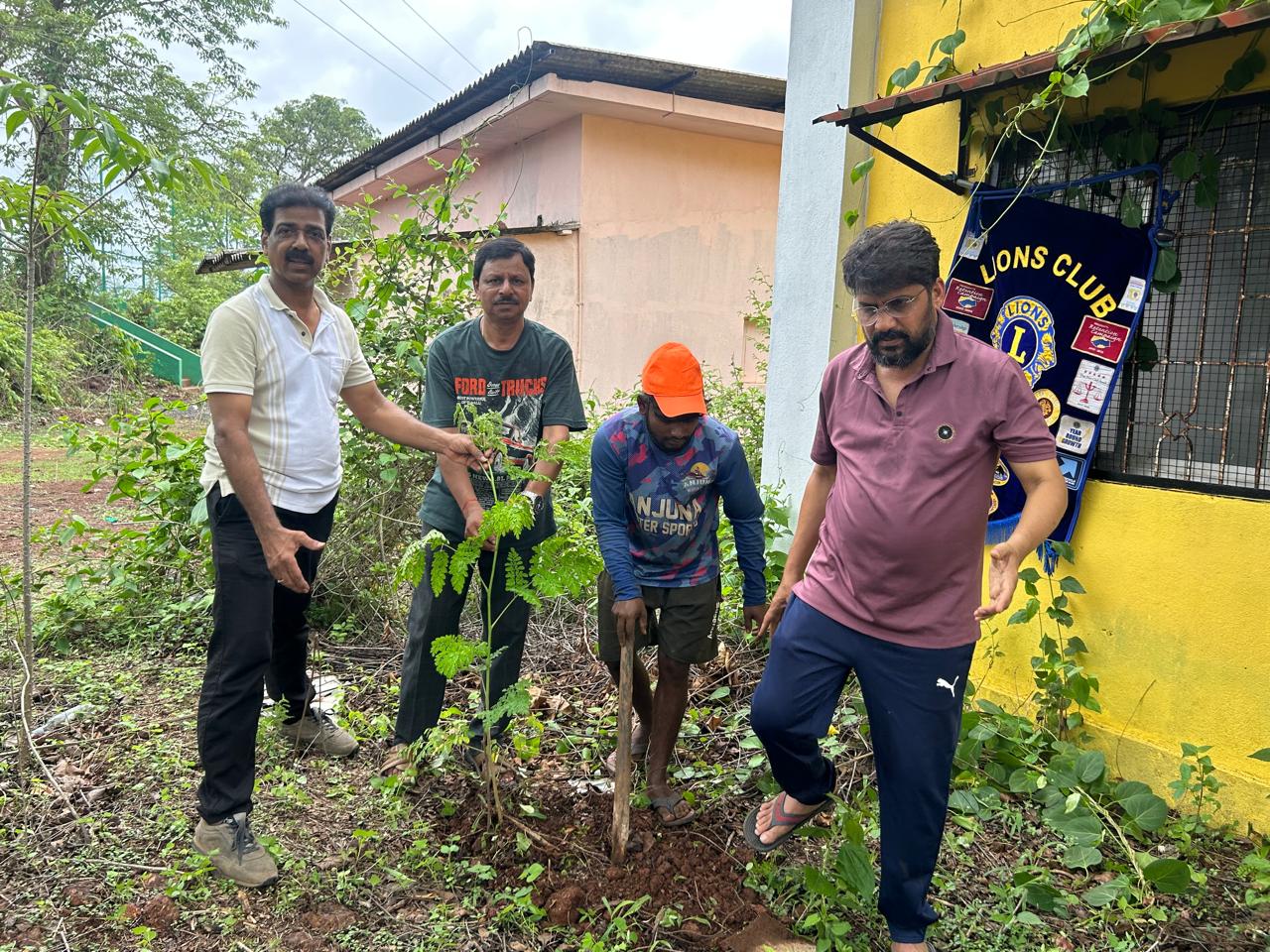 TREE PLANTATION DRIVE ON THE OCCASION OF ENVIRONMENTAL DAY