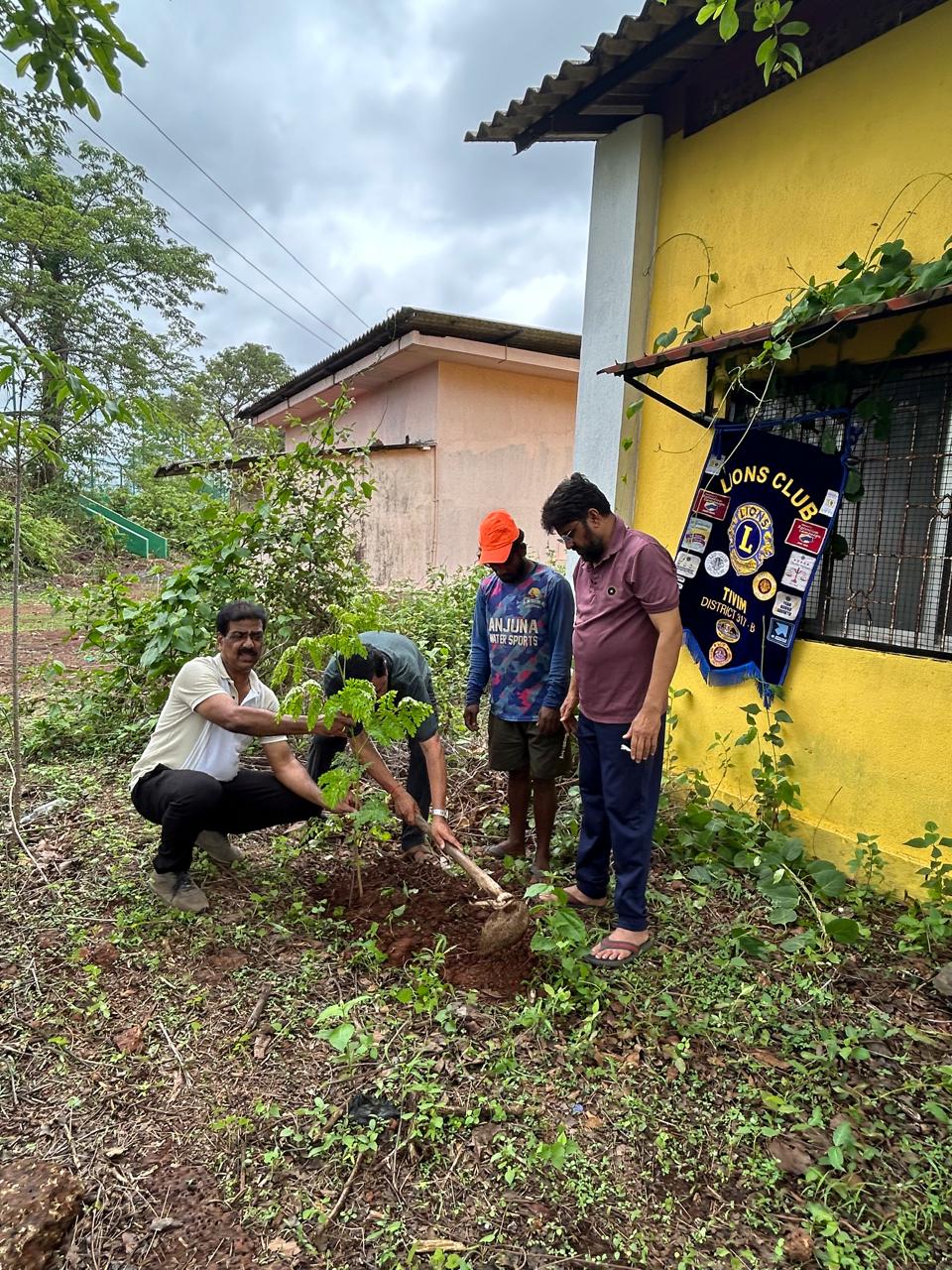 TREE PLANTATION DRIVE ON THE OCCASION OF ENVIRONMENTAL DAY