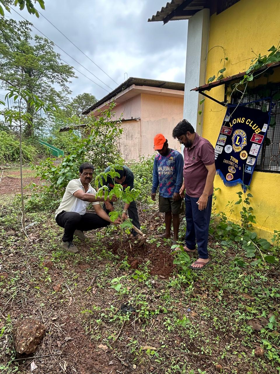 TREE PLANTATION DRIVE ON THE OCCASION OF ENVIRONMENTAL DAY