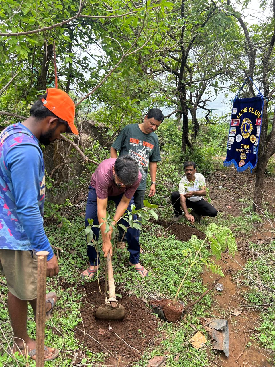 TREE PLANTATION DRIVE ON THE OCCASION OF ENVIRONMENTAL DAY