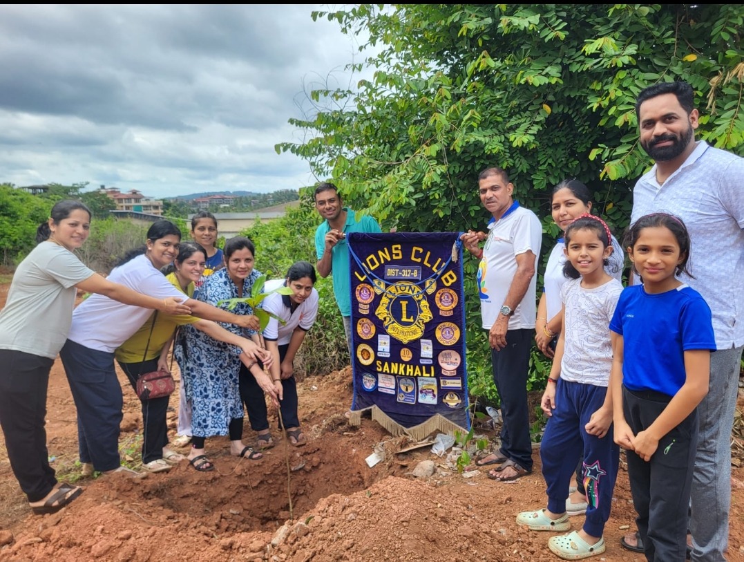 Tree Plantation Drive 