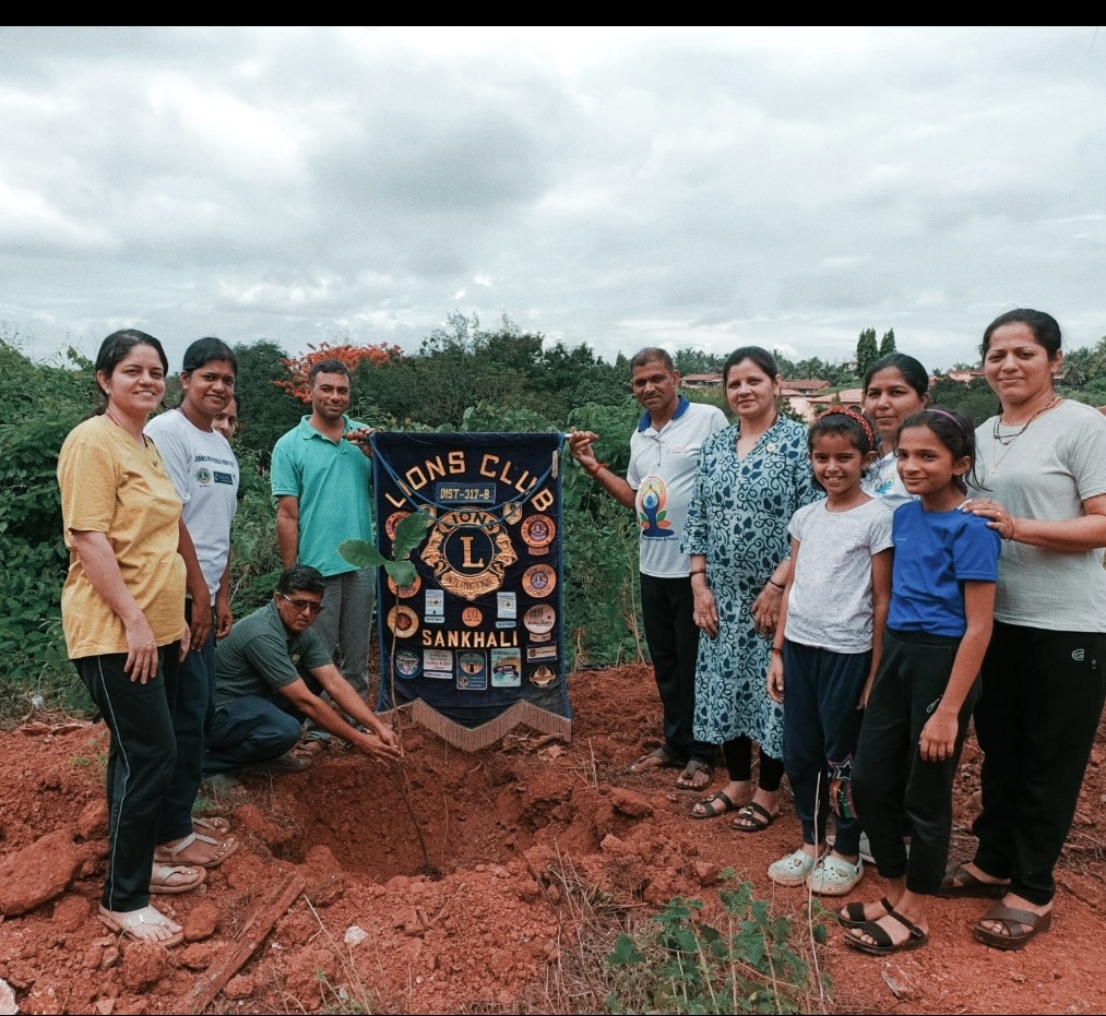 Tree Plantation Drive 