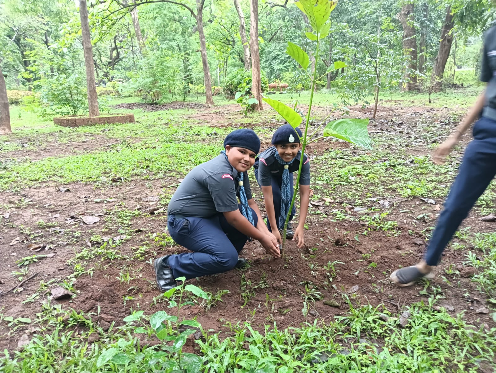 OBSERVATION OF ENVIRONMENT DAY