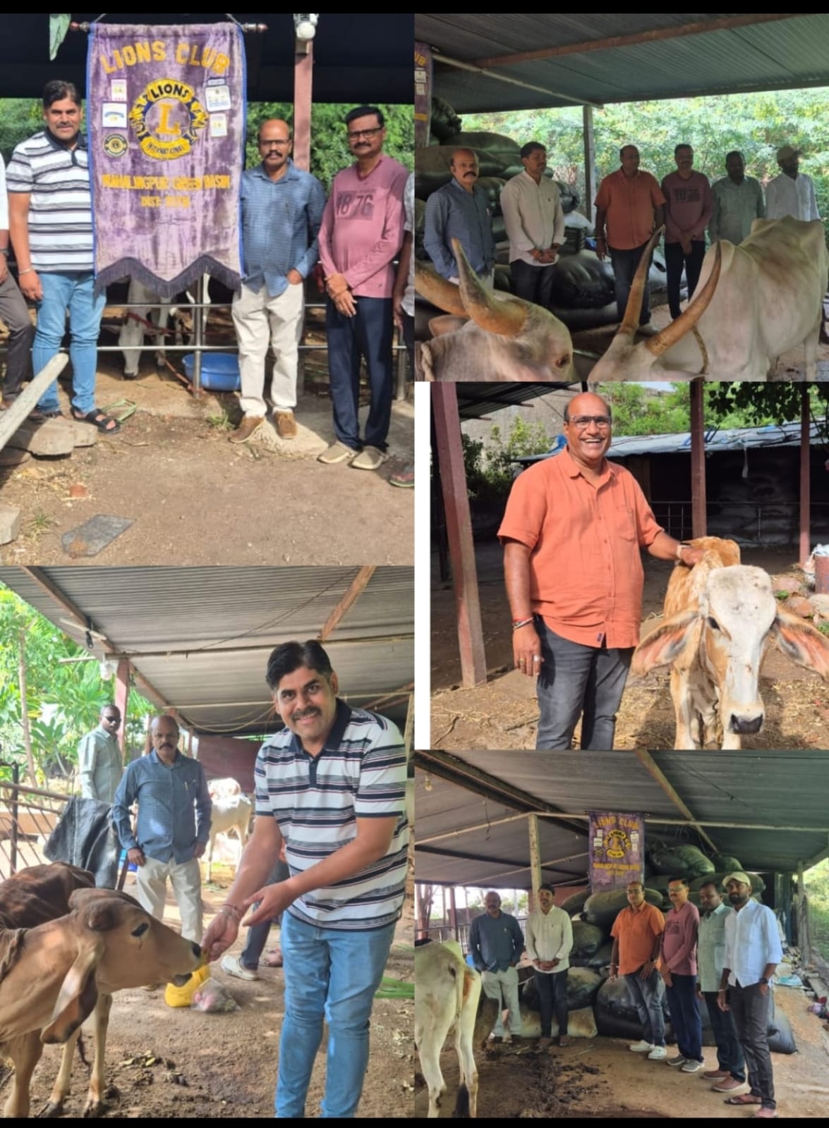 OUR REGION MAHALINGAPUR GREEN BASIN CLUB DID A WANDERFULL WORK. 